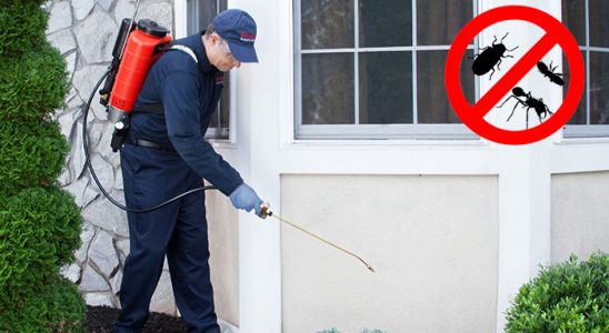 Adana Bit İlaçlama böcek ilaçlama ve haşere kontrolü — ilaclama-tr.com